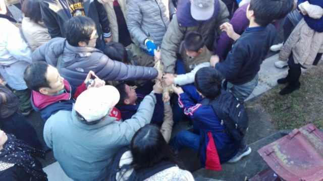 940840_1079266812118159_8469653693370333906_n