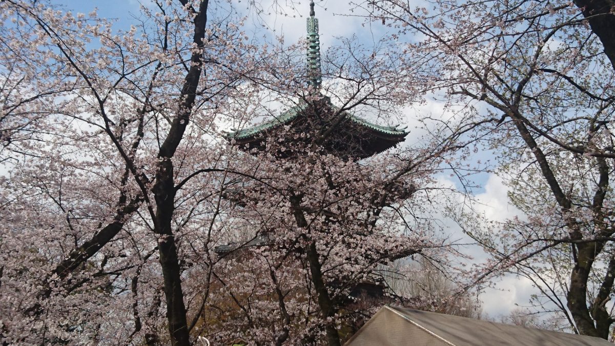 東京のオススメお花見スポット・桜まつり3選（2018年版）