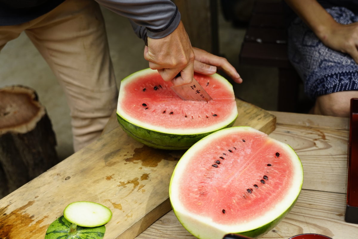 採れたてのスイカ