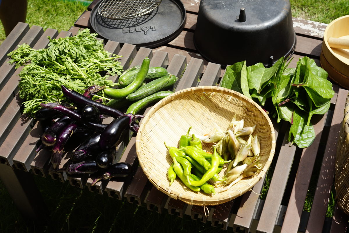 収穫したての野菜