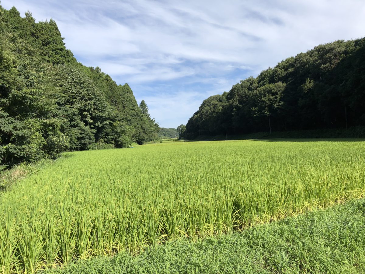 笠間の田園風景