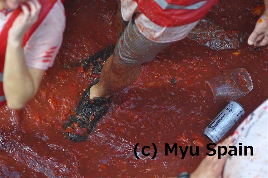 トマト祭りの様子