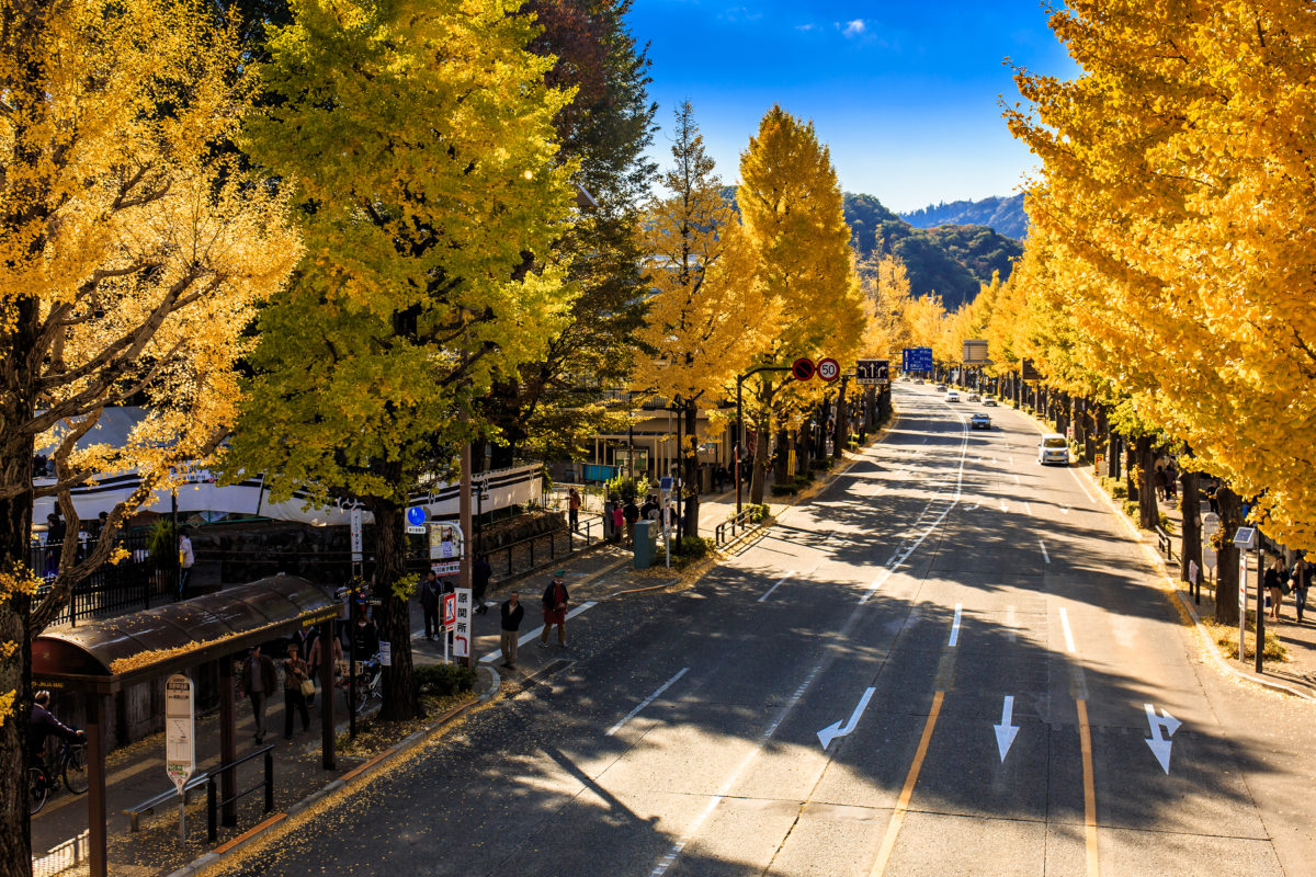 八王子いちょう祭り
