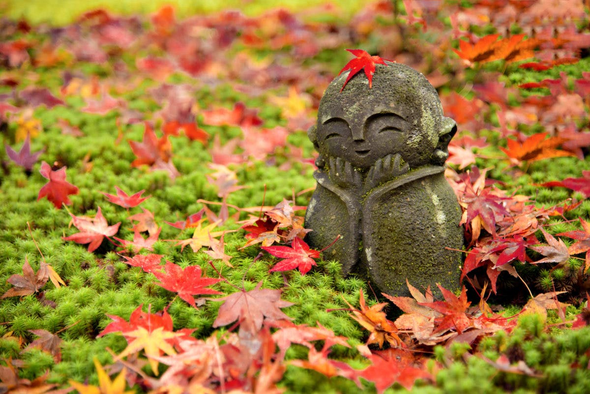 大根焚き だいこだき In京都 感謝して無病息災を祈願 オマツリジャパン あなたと祭りをつなげるメディア