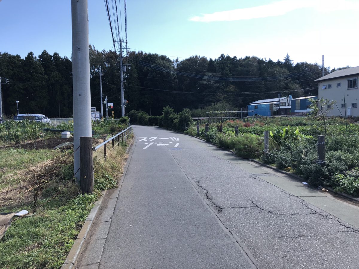 まっすぐ畑を突っ切っていくと