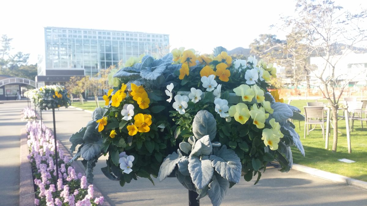 青島裸まいり2019