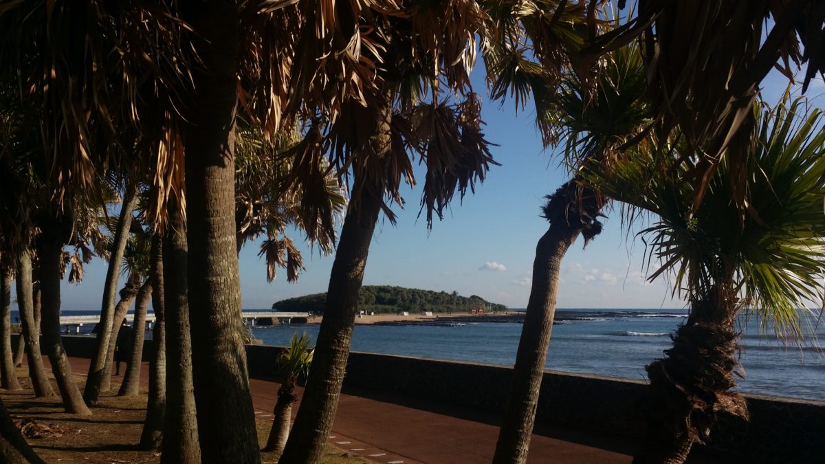 青島裸まいり2019