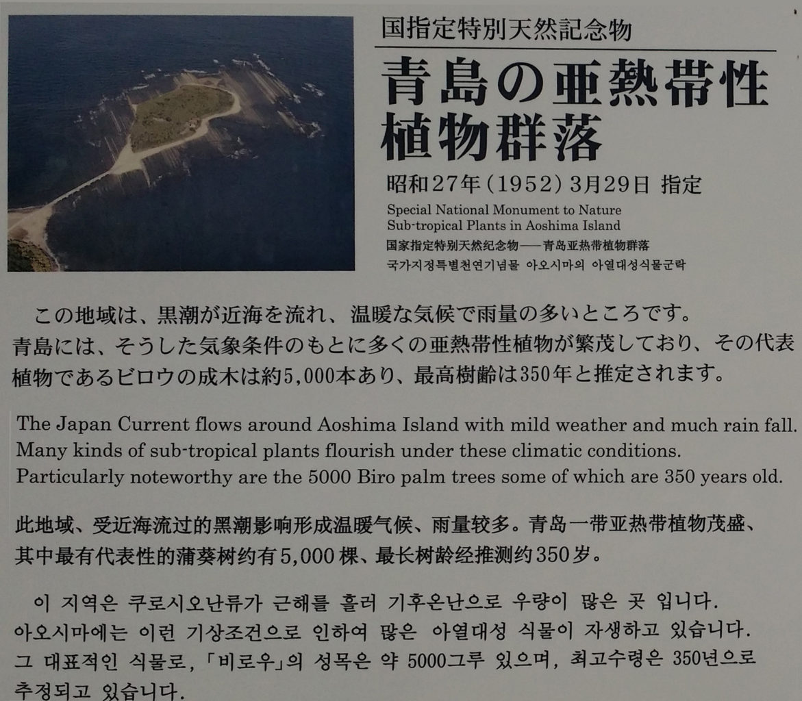 青島裸まいり2019