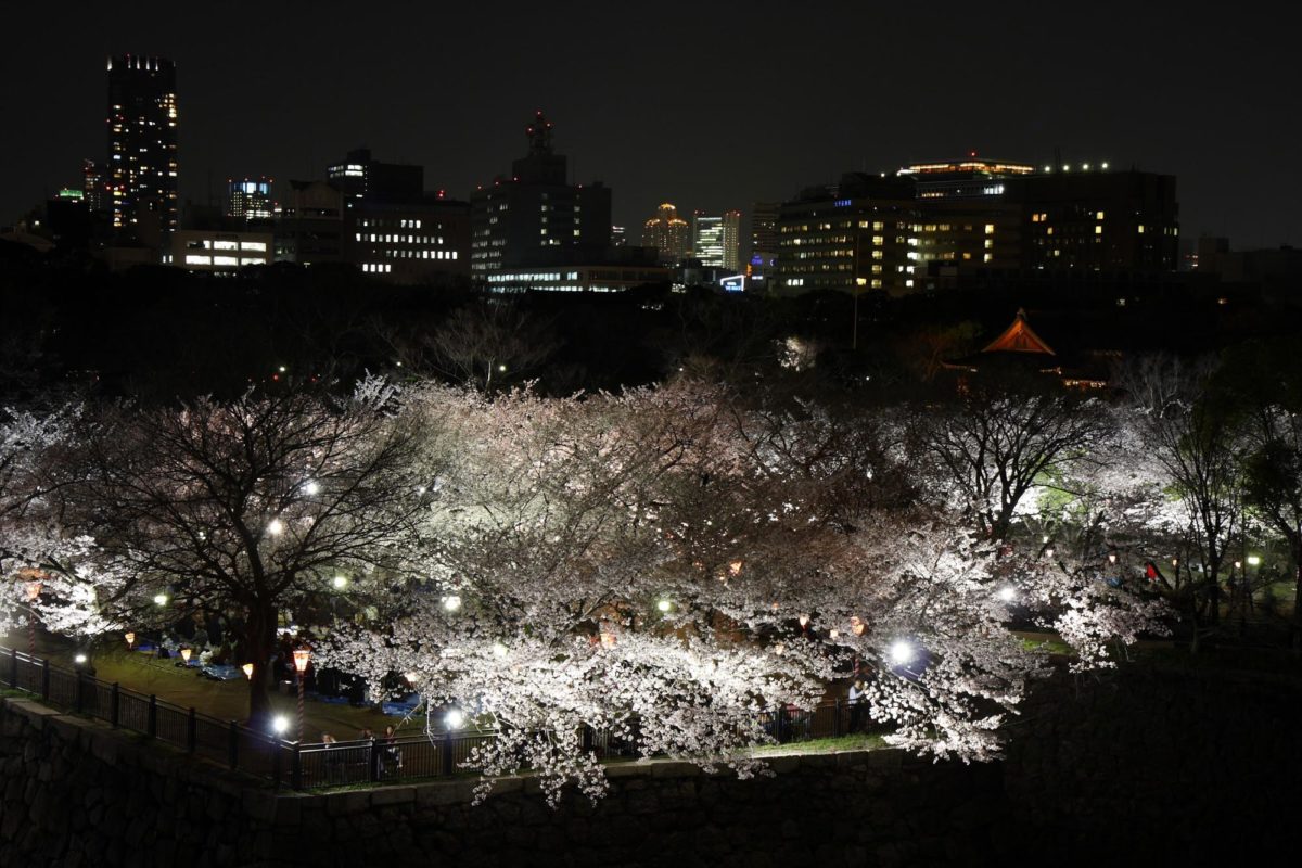 大阪城公園でのお花見の楽しみ方は？天守閣×桜の絶景が楽しめる！