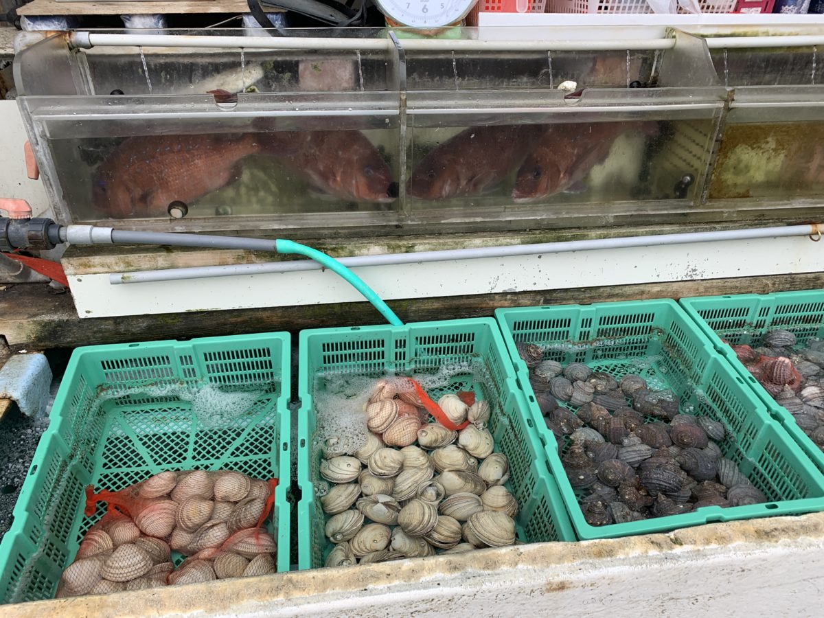 地元で採れた新鮮な海産物