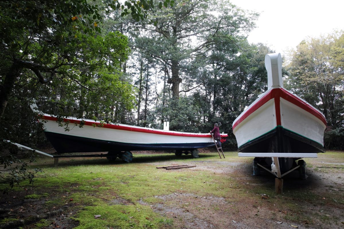 ホーランエンヤ