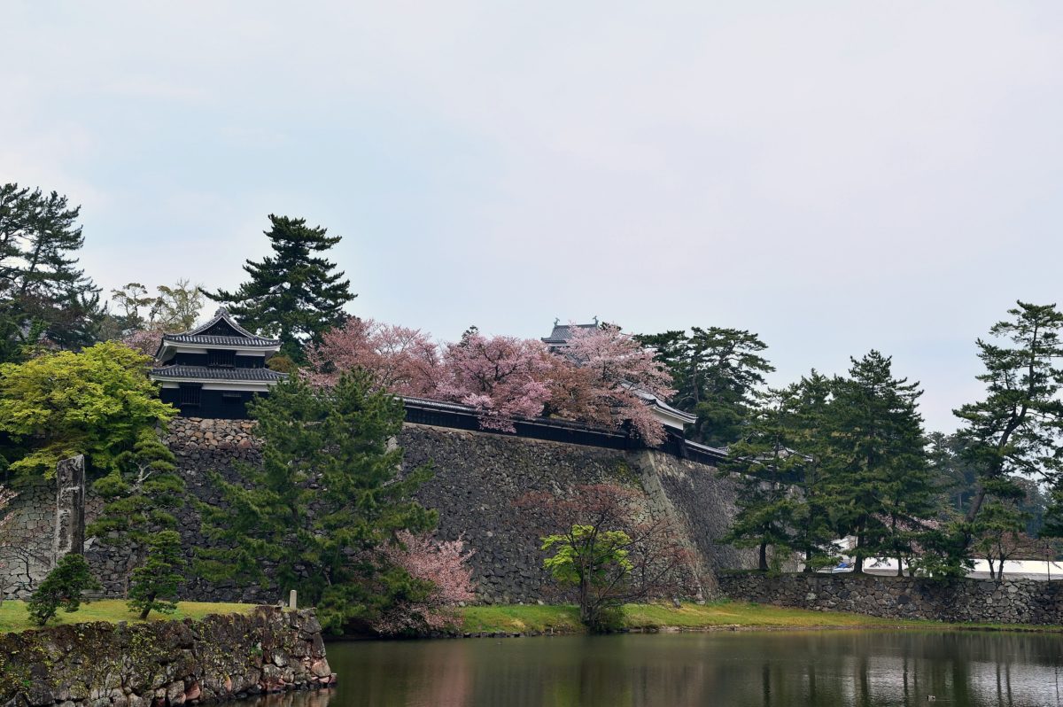 ホーランエンヤ