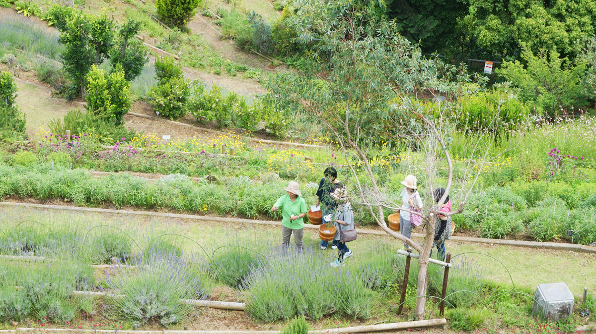 ハーブフェスティバル