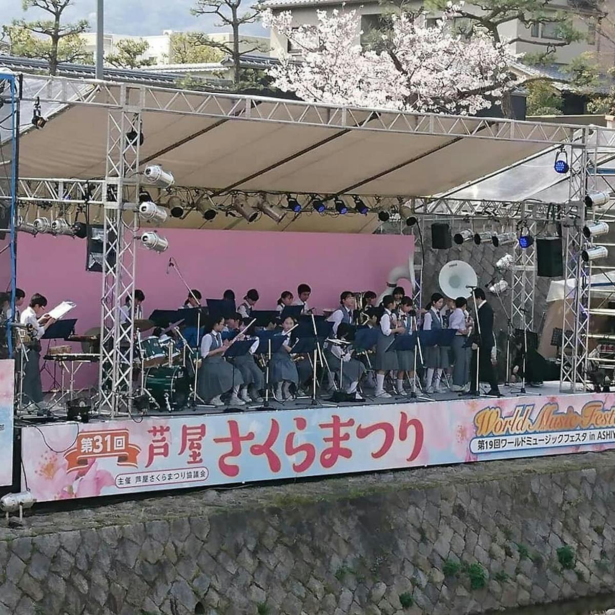 これがお金持ちのお花見なのか 芦屋さくらまつりを徹底解説ざます 笑 オマツリジャパン あなたと祭りをつなげるメディア