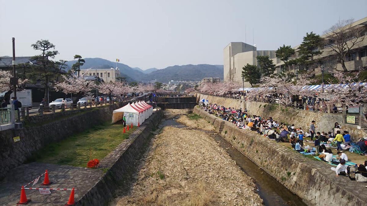 これがお金持ちのお花見なのか 芦屋さくらまつりを徹底解説ざます 笑 オマツリジャパン あなたと祭りをつなげるメディア これがお金持ちのお花見なのか 芦屋さくらまつりを徹底解説ざます 笑 オマツリジャパン あなたと祭りをつなげるメディア