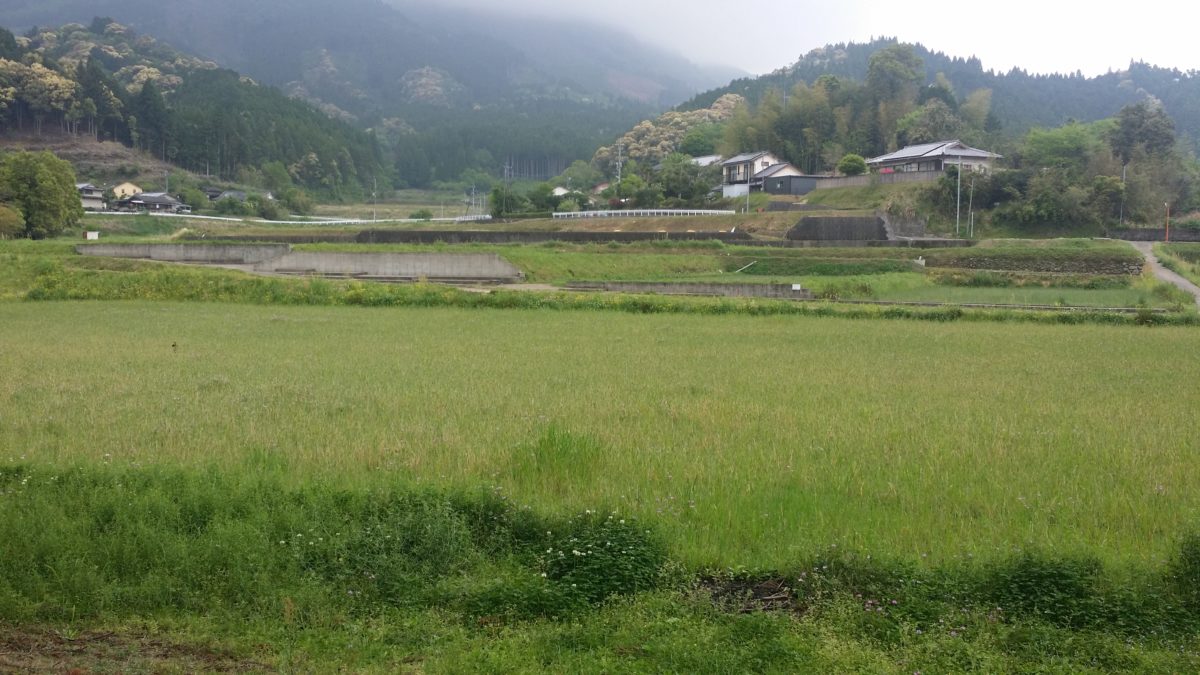 神田「中の宮田」