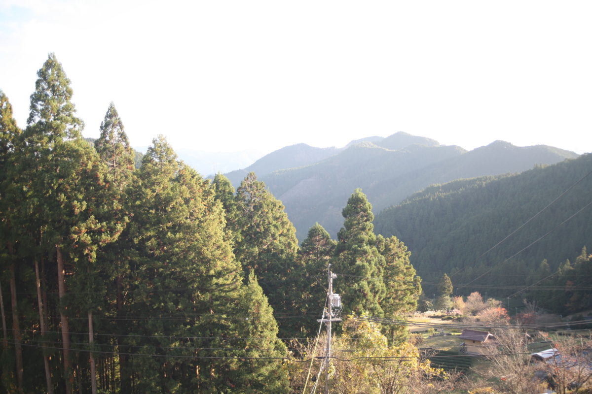 奥三河の花まつり