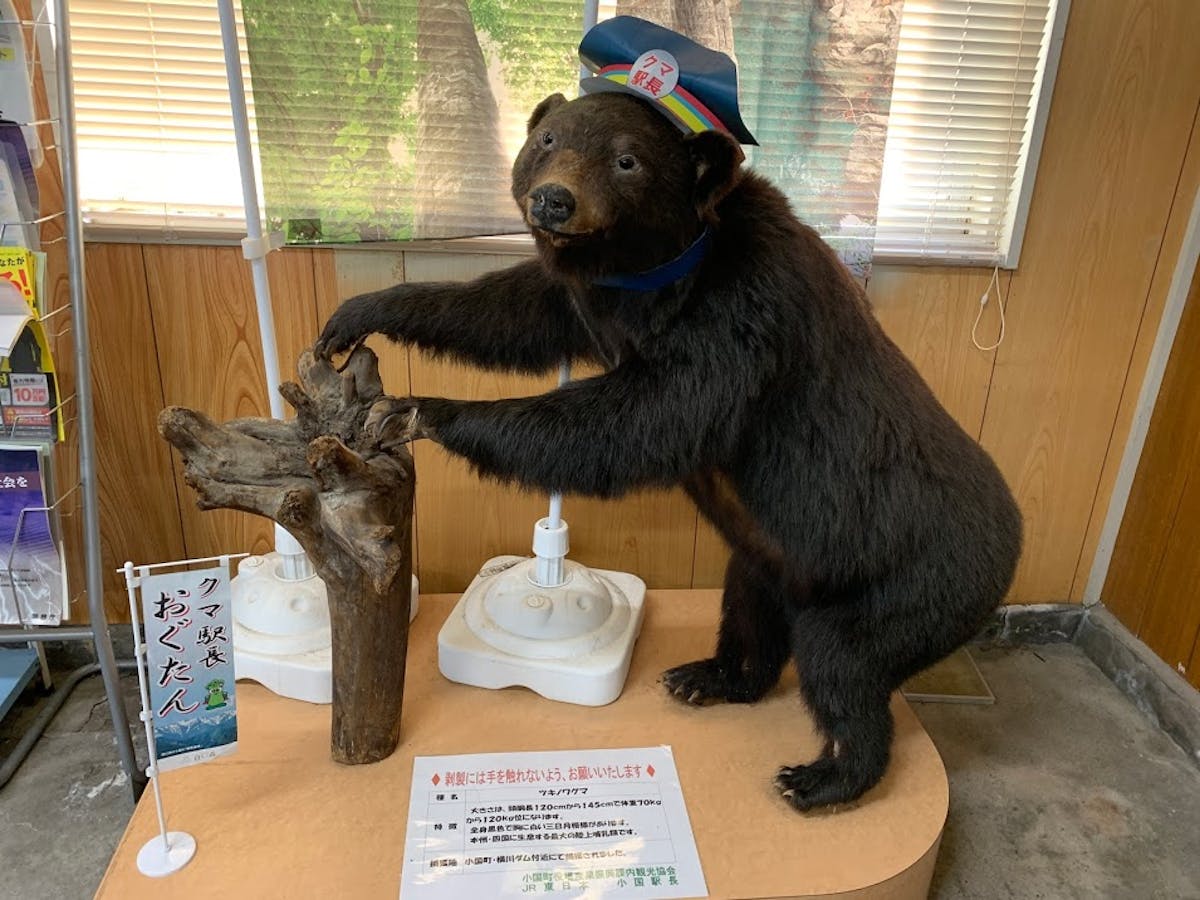 小玉川熊祭りに行ってみたら 究極のジビエと秘境温泉が最高過ぎるクマフェスだった件 オマツリジャパン あなたと祭りをつなげるメディア 小玉川熊祭りに行ってみたら 究極のジビエと秘境温泉が最高過ぎるクマフェスだった件 オマツリジャパン あなたと祭りをつなげるメディア