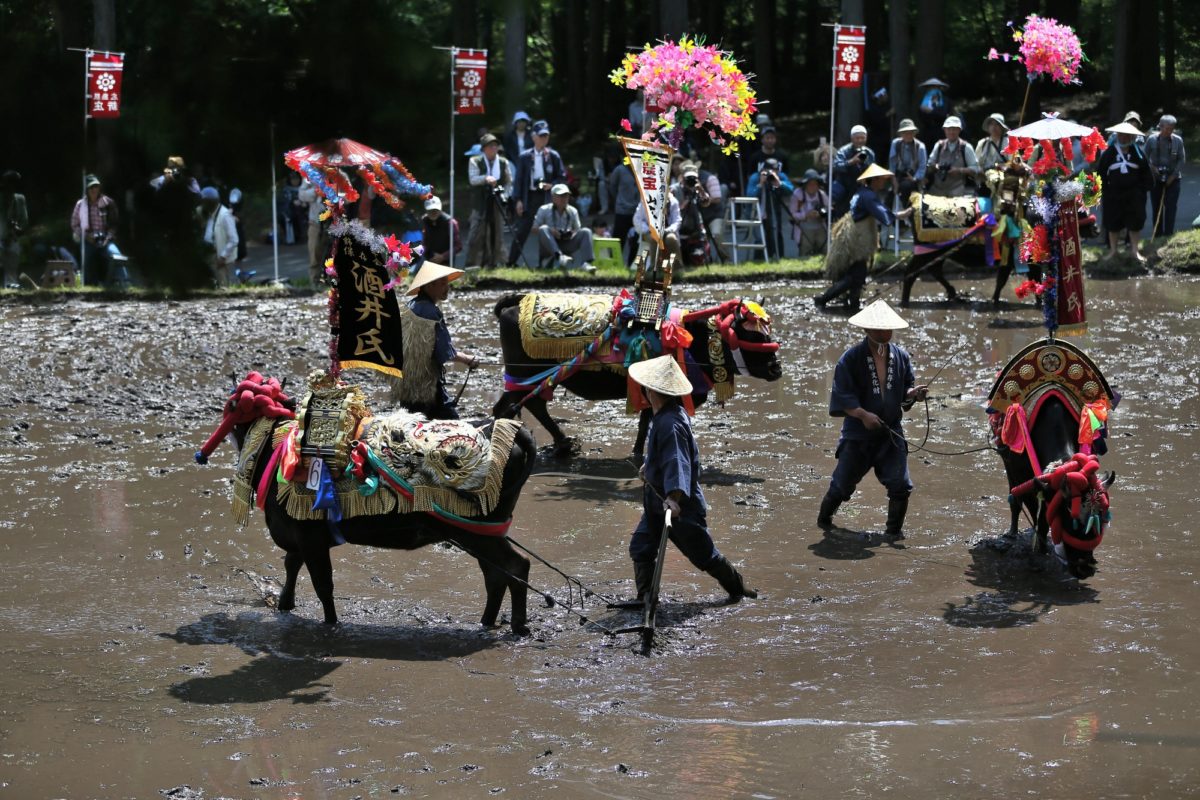 新庄のはやし田