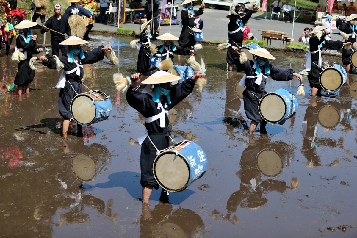 新庄のはやし田