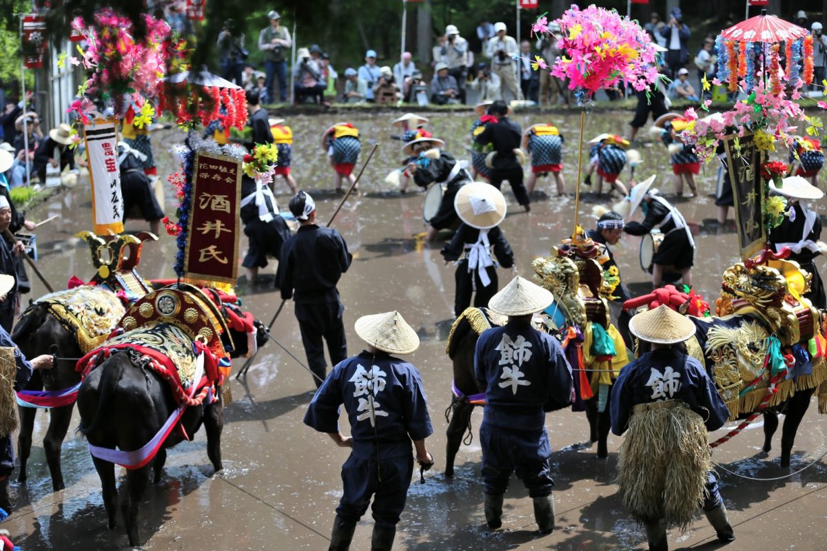 新庄のはやし田