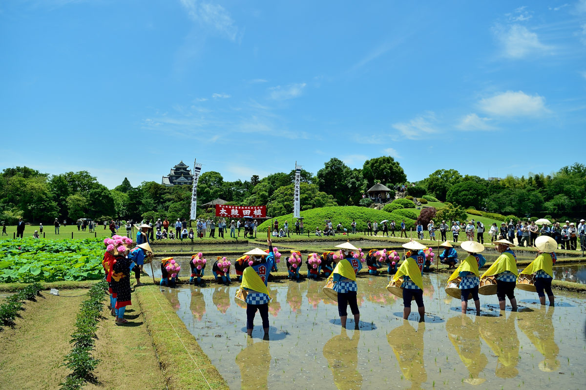 岡山後楽園・お田植祭