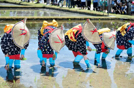 半纏とはどんな服 どうしてお祭りで着るの オマツリジャパン あなたと祭りをつなげるメディア 半纏とはどんな服 どうしてお祭りで着るの オマツリジャパン あなたと祭りをつなげるメディア