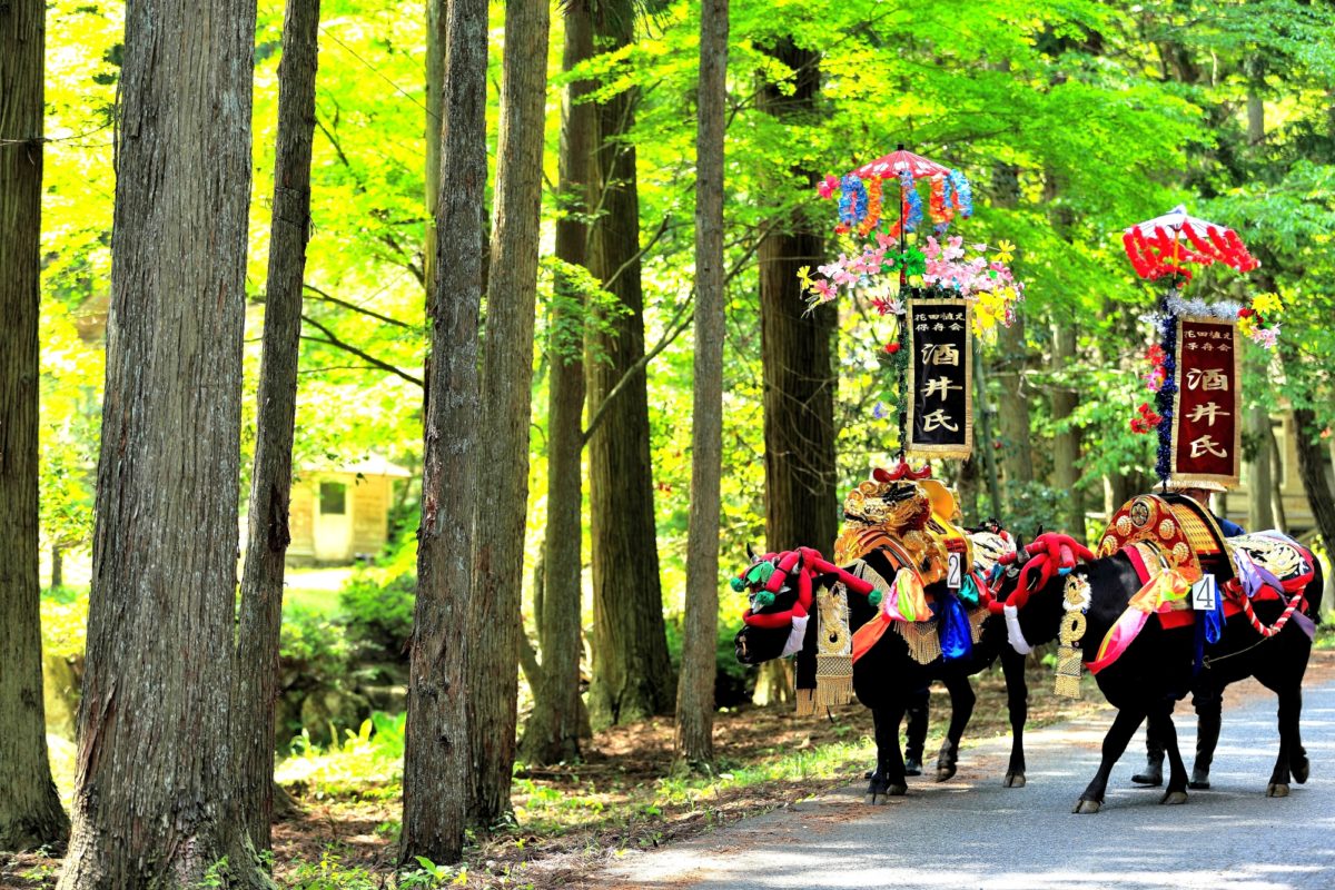 新庄のはやし田