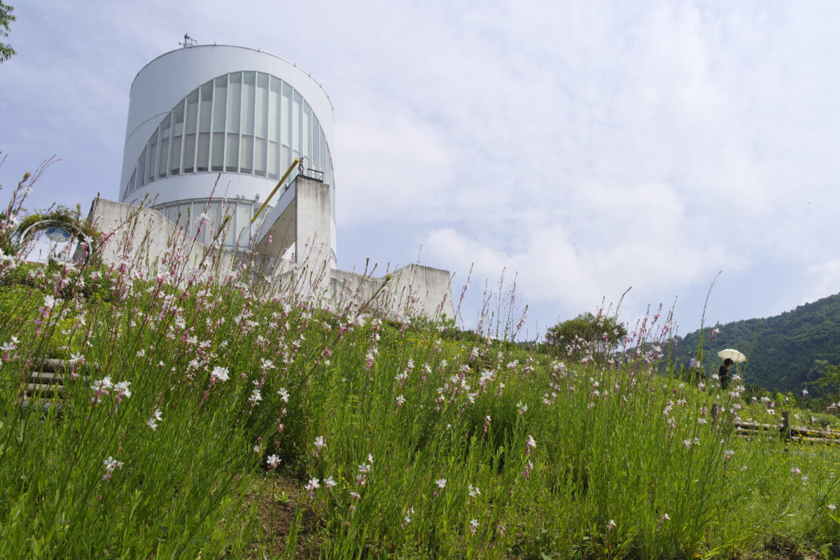 松田町ハーブフェスティバル2019