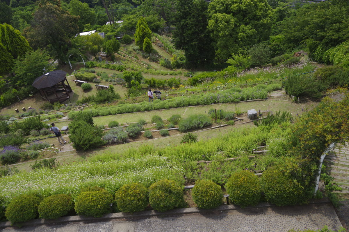 松田町ハーブフェスティバル2019