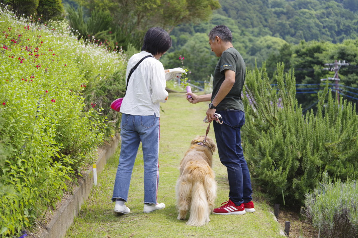 松田町ハーブフェスティバル2019