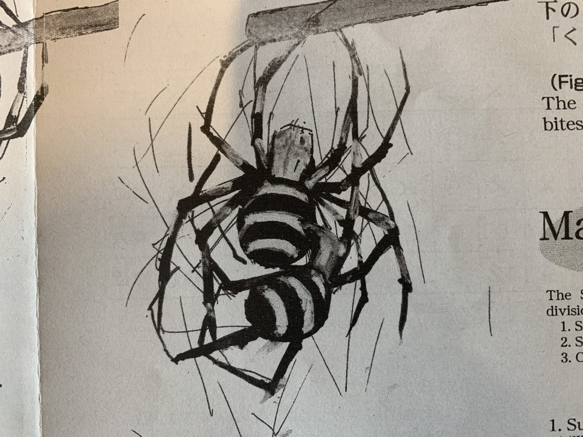 閲覧注意 加治木のくも合戦 かみつくか ぶっかけるか 切り落とすか 真のスパイダー大戦がここにある オマツリジャパン あなたと祭りをつなげるメディア 閲覧注意 加治木のくも合戦 かみつくか ぶっかけるか 切り落とすか 真のスパイダー大戦がここにある オマツリジャパン あなたと祭りをつなげるメディア