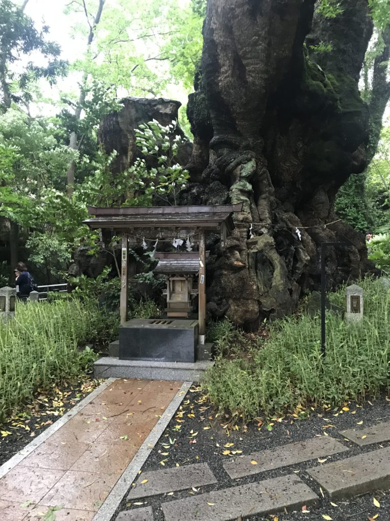 来宮神社