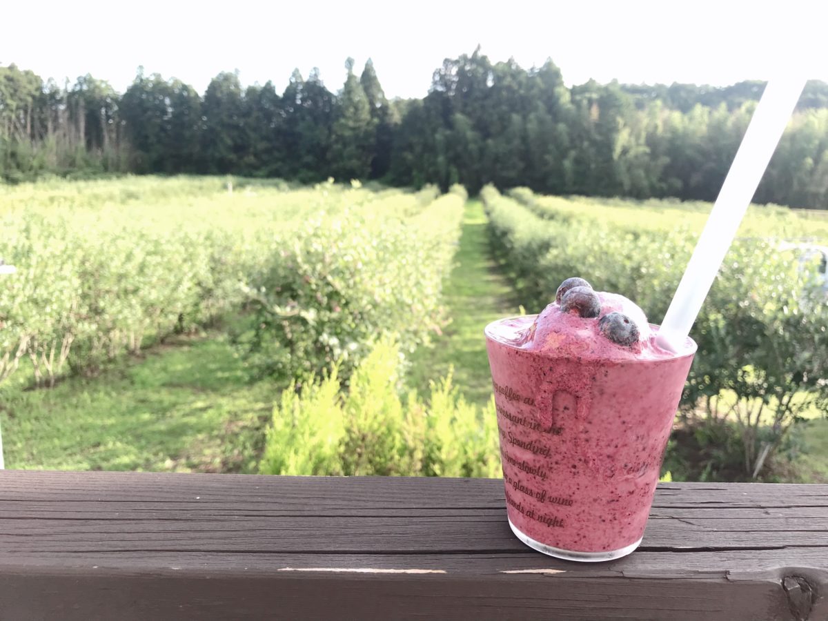 ブルーベリーフレンドファーム