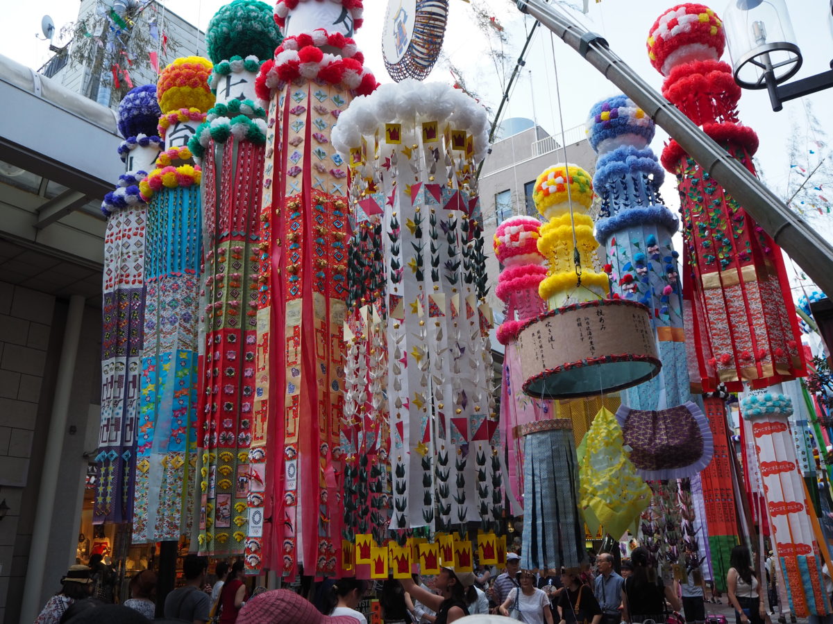 金賞：シマダメガネ