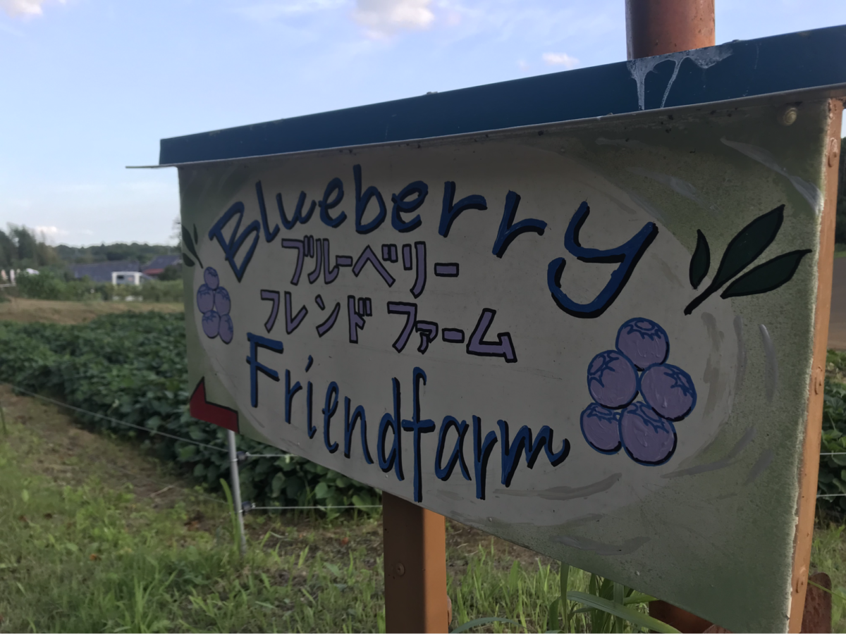 ブルーベリファーム
