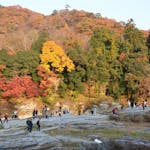「長瀞紅葉まつり」、荒川沿いから宝登山の頂まで広がる秋のグラデーション