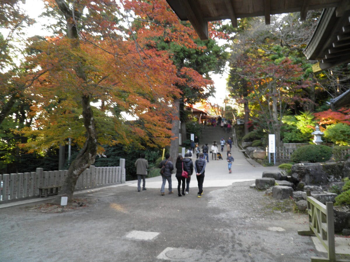 筑波山もみじまつり 筑波山神社の宮脇からケーブルカーに乗って筑波山を丸ごと紅葉狩り オマツリジャパン 毎日 祭日 筑波山もみじまつり 筑波山神社の宮脇からケーブルカーに乗って筑波山を丸ごと紅葉狩り オマツリジャパン 毎日 祭日