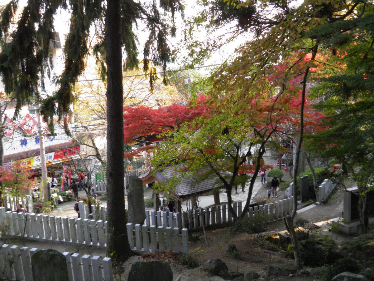 筑波山もみじまつり 筑波山神社の宮脇からケーブルカーに乗って筑波山を丸ごと紅葉狩り オマツリジャパン 毎日 祭日