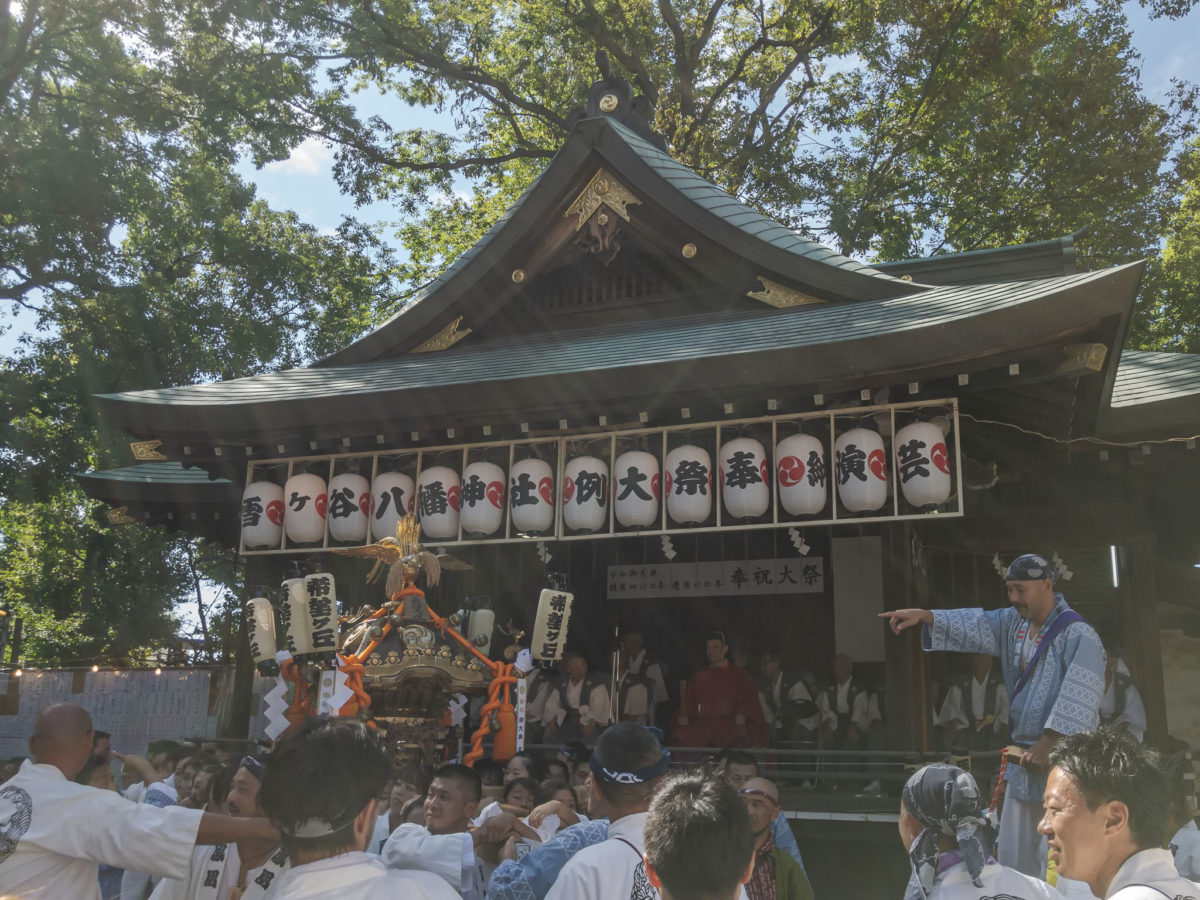 御神輿連合渡御