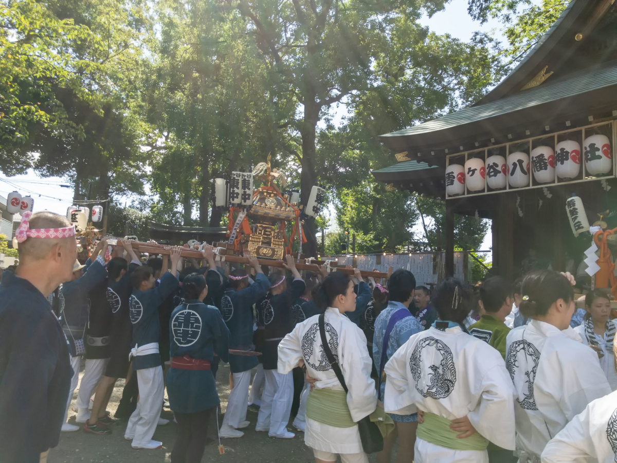 御神輿連合渡御
