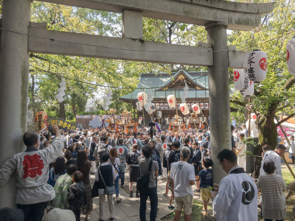 御神輿連合渡御