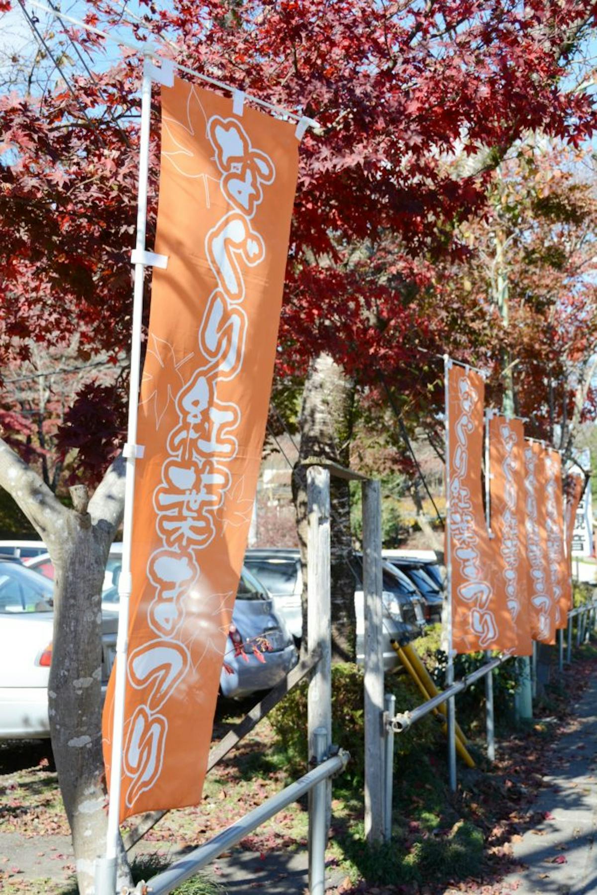 なぐり紅葉まつり 白雲山鳥居観音の山肌を縫う遊歩道をハイキングしながら紅葉狩り オマツリジャパン 毎日 祭日