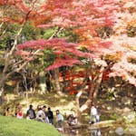 「小石川後楽園紅葉まつり」、場所ごとに異なる表情で語りかける紅葉
