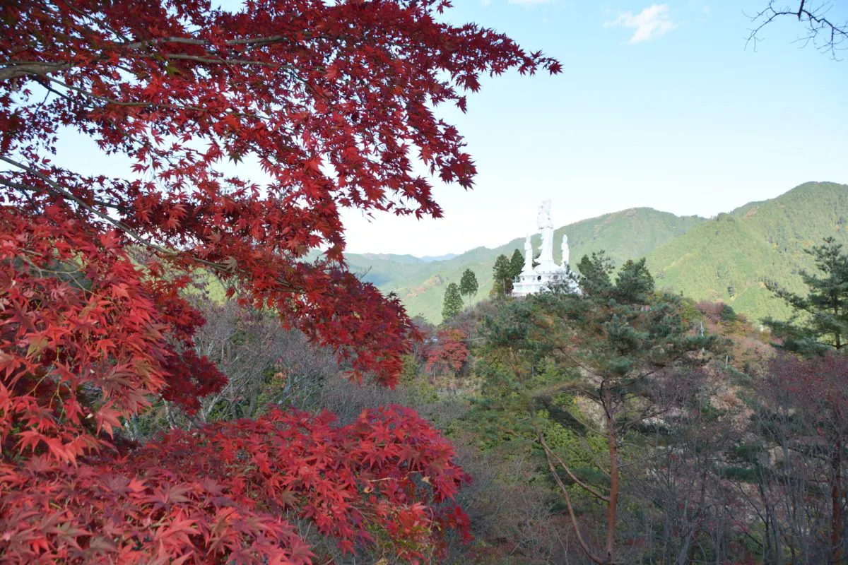 なぐり紅葉まつり 白雲山鳥居観音の山肌を縫う遊歩道をハイキングしながら紅葉狩り オマツリジャパン あなたと祭りをつなげるメディア
