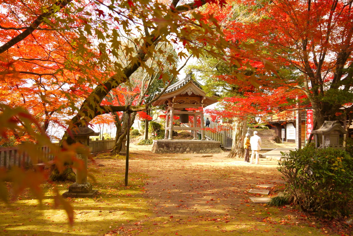 寂光院もみじまつり