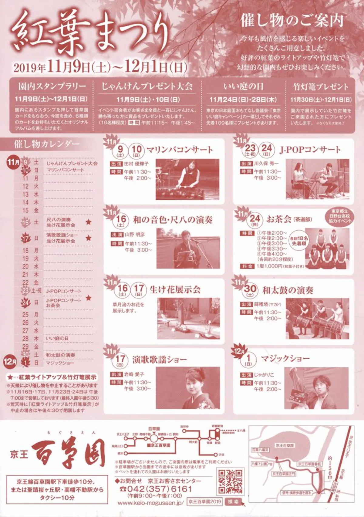 京王百草園紅葉まつり 来園者が自らライトアップ作業を行った後 暗闇に浮かぶ紅葉を鑑賞 オマツリジャパン あなたと祭りをつなげるメディア