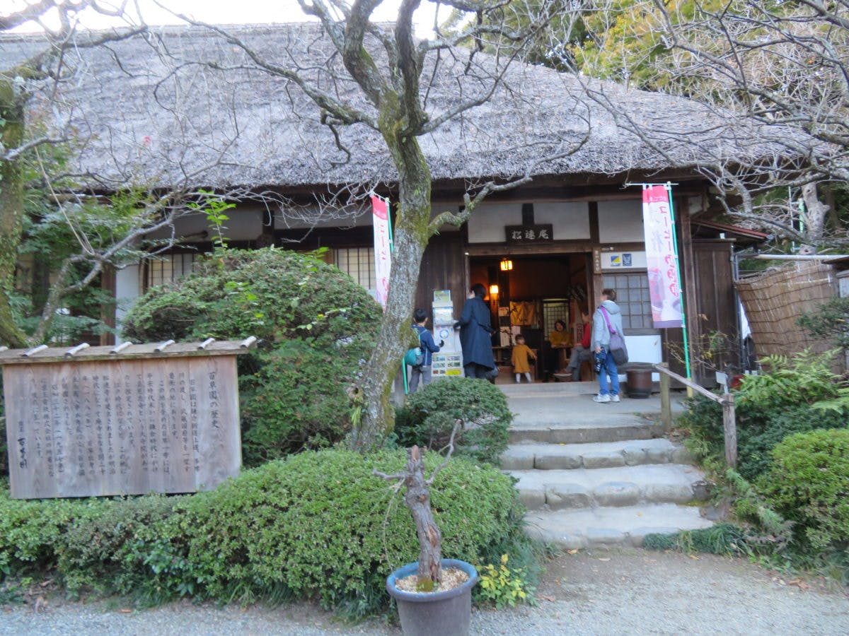 オマツリジャパンに登録をしてお祭りをもっと楽しもう!「京王百草園紅葉まつり」、来園者が自らライトアップ作業を行った後、暗闇に浮かぶ紅葉を鑑賞和の情緒が漂う庭園での「京王百草園紅葉まつり」
