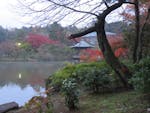 「成田山公園紅葉まつり」、庭園中央の3つの池を彩る紅葉を鑑賞した後に味わう成田名物のうなぎ