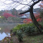 「成田山公園紅葉まつり」、庭園中央の3つの池を彩る紅葉を鑑賞した後に味わう成田名物のうなぎ